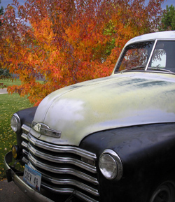 '48 Chev in Fall