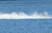 Roostertail